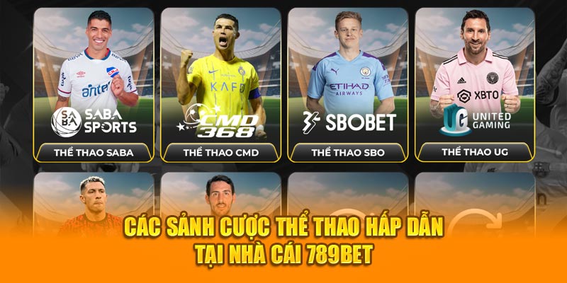 Các cách chơi cá độ bóng đá tại sảnh SBOBET 789bet cho người mới